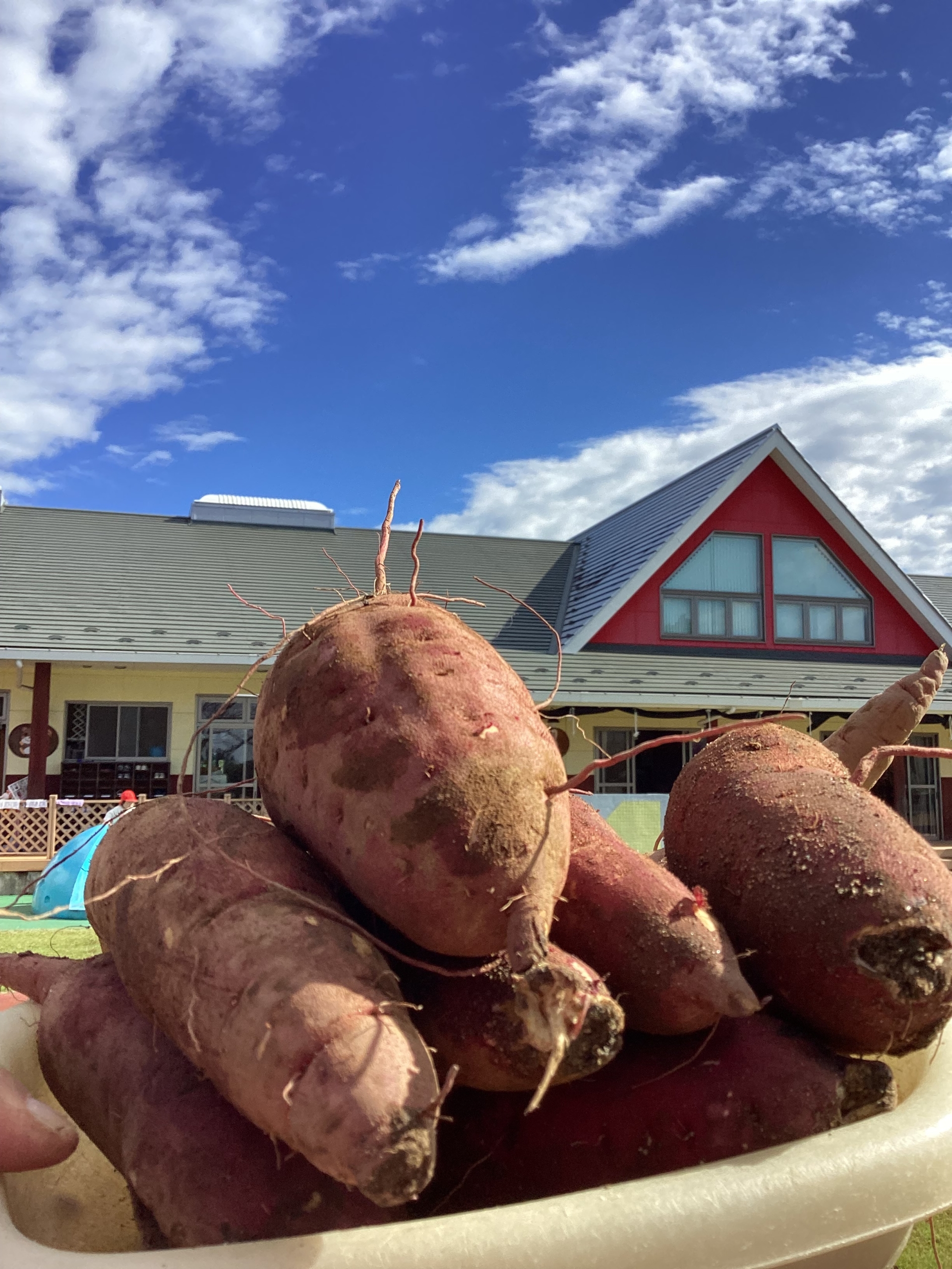 10月27日　ブログを更新しました