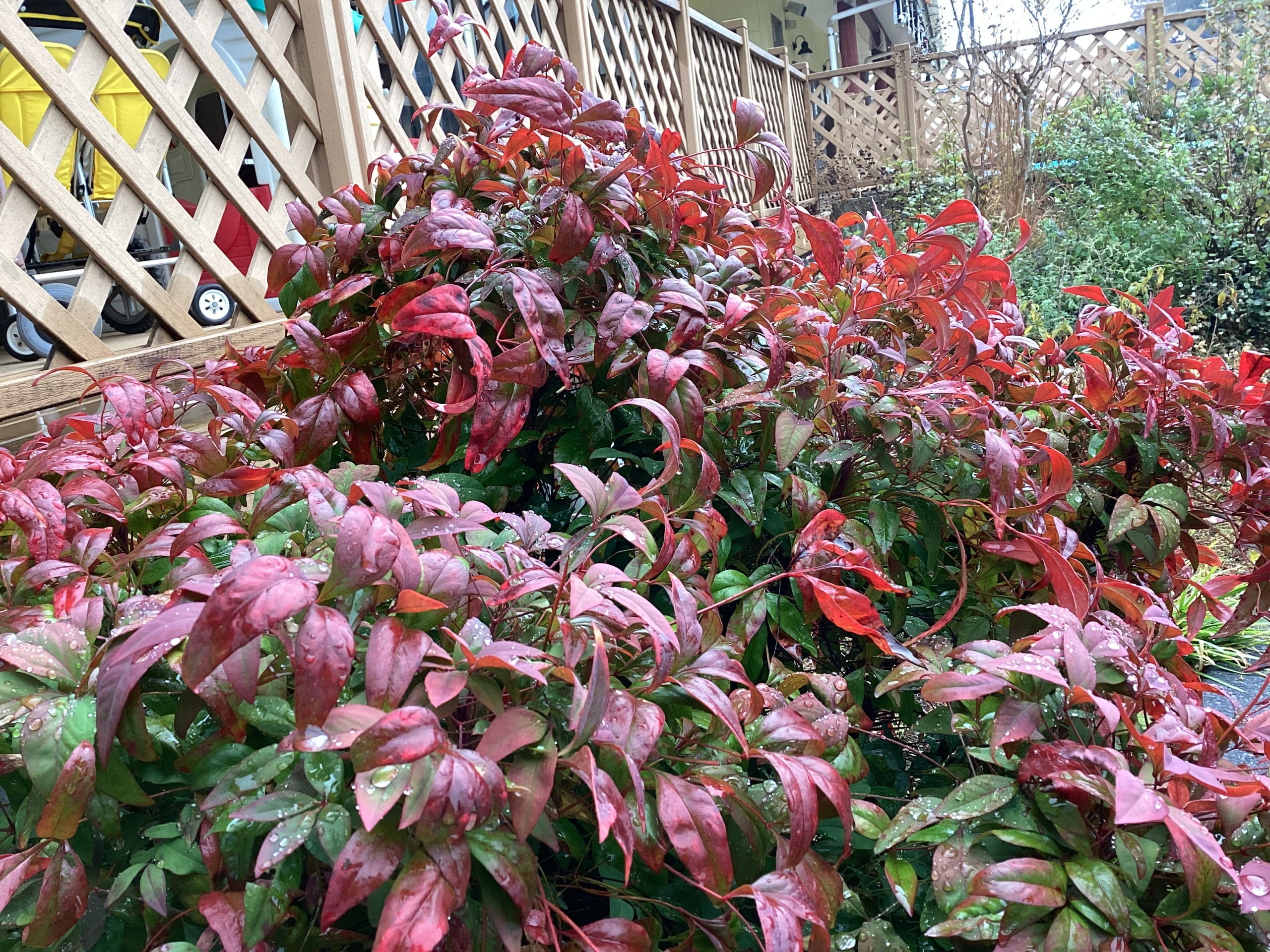 ブログを更新しました。