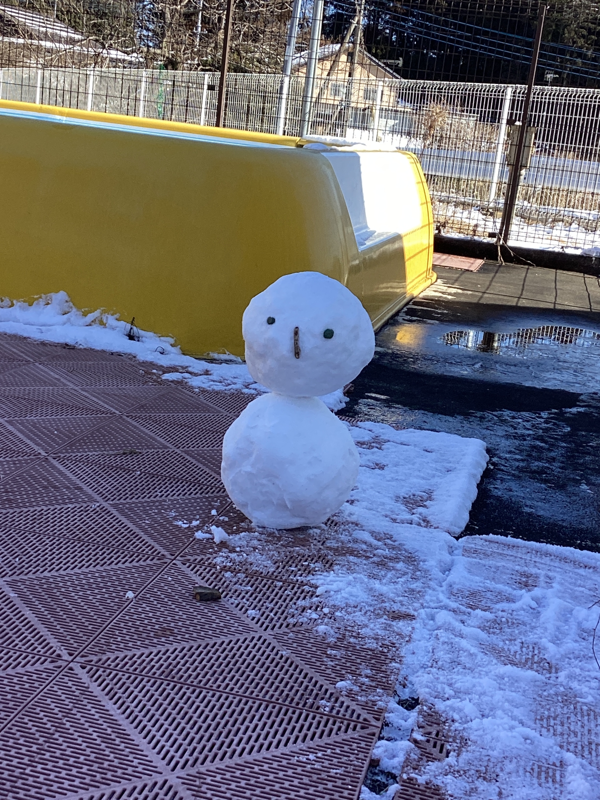 2月9日　ブログを更新しました。